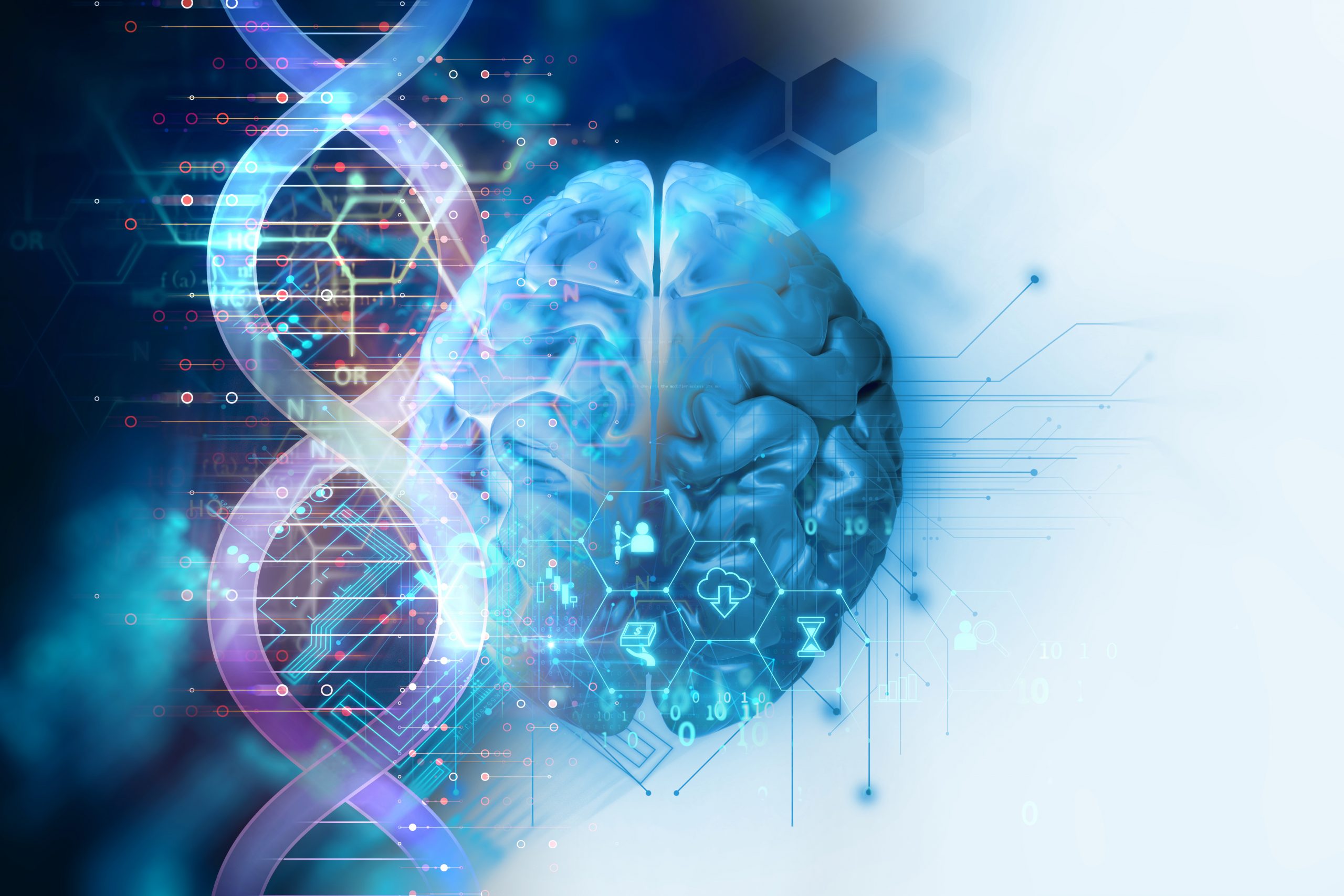 La neurodiversité 