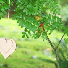 TDAH: comprendre et favoriser l’estime de soi