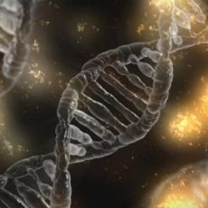 Le dépistage génétique en autisme : vers l’eugénisme ?
